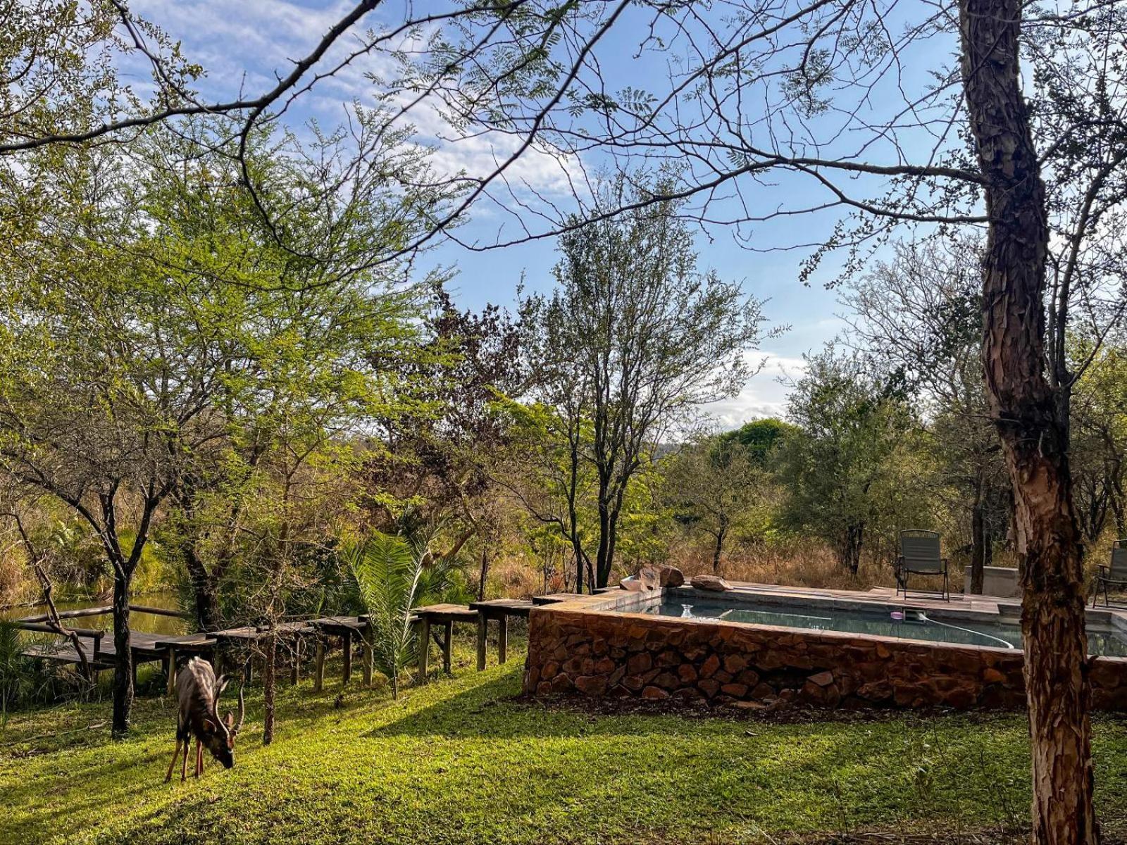 Mbuluzi Game Reserve Simunye Room photo
